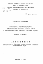 Пятнистая круглоголовка (Phrynocephalus maculatus Anderson, 1872)в Туркменистане (экология, этология, охрана) - тема автореферата по биологии, скачайте бесплатно автореферат диссертации