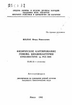 Физическое картирование генома цианобактерии SYNECHOCYSTIS sp. РСС 6803 - тема автореферата по биологии, скачайте бесплатно автореферат диссертации