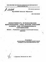 ЭФФЕКТИВНОСТЬ ИСПОЛЬЗОВАНИЯ МНОГОПЛОДНЫХ ОВЕЦ ПОРОДЫ ФИНСКИЙ ЛАНДРАС ДЛЯ ПРОМЫШЛЕННОГО СКРЕЩИВАНИЯ - тема автореферата по сельскому хозяйству, скачайте бесплатно автореферат диссертации