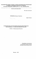 Особенности структурной организации рибосом простейших с сегментированной 28S рРНК - тема автореферата по биологии, скачайте бесплатно автореферат диссертации