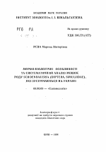 Морфо-биологические особенности и систематический анализ мошек рода Schoenbaueria (Diptera, Simuliidae), встречающихся на Украине - тема автореферата по биологии, скачайте бесплатно автореферат диссертации