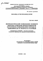 МОРФОЛОГИЧЕСКИЕ ИЗМЕНЕНИЯ КОЖНОГО ПОКРОВА И МЯСНОЙ ПРОДУКТИВНОСТИ БАРАНЧИКОВ РОМАНОВСКОЙ ПОРОДЫ В ЗАВИСИМОСТИ ОТ ВОЗРАСТА И КОРМОВ - тема автореферата по сельскому хозяйству, скачайте бесплатно автореферат диссертации