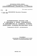 Формирование урожая сои и пшеницы в звене севооборота в зависимости от азотного режима длительно сезонно-мерзлотных почв - тема автореферата по сельскому хозяйству, скачайте бесплатно автореферат диссертации