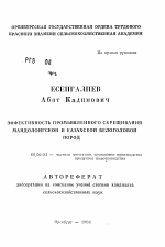 Эффективность промышленного скрещивания мандолонгской и казахской белоголовой пород - тема автореферата по сельскому хозяйству, скачайте бесплатно автореферат диссертации