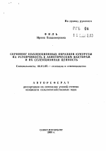 Скриннинг коллекционных образцов кукурузы на устойчивость к абиотическим факторам и их селекционная ценность - тема автореферата по сельскому хозяйству, скачайте бесплатно автореферат диссертации