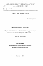 Изучение локализации белков клостеровируса желтухи свеклы в вирионах и в зараженной клетке - тема автореферата по биологии, скачайте бесплатно автореферат диссертации