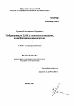 Гибридизация ДНК с олигонуклеотидами, иммобилизованными в геле - тема автореферата по биологии, скачайте бесплатно автореферат диссертации