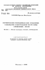 Формирование молодняков ели, созданных саженцами в Центральной части зоны смешанных лесов - тема автореферата по сельскому хозяйству, скачайте бесплатно автореферат диссертации