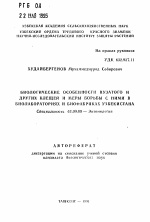 Биологические особенности пузатого и других клещей и меры борьбы с ними в биолабораториях и биофабриках Узбекистана - тема автореферата по биологии, скачайте бесплатно автореферат диссертации