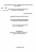 Клональное микроразмножение в селекции сахарной свеклы - тема автореферата по сельскому хозяйству, скачайте бесплатно автореферат диссертации