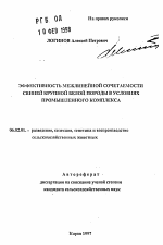 Эффективность межлинейной сочетаемости свиней крупной белой породы в условиях промышленного комплекса - тема автореферата по сельскому хозяйству, скачайте бесплатно автореферат диссертации