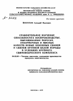 СРАВНИТЕЛЬНОЕ ИЗУЧЕНИЕ СПОСОБНОСТИ К ВОСПРОИЗВОДСТВУ, ВЫРАЩИВАНИЮ ПОРОСЯТ, ОТКОРМОЧНЫХ И МЯСНЫХ КАЧЕСТВ НОВЫХ БЕКОННЫХ СВИНЕЙ И СВИНЕЙ КРУПНОЙ БЕЛОЙ ПОРОДЫ В УСЛОВИЯХ КРУПНОГО СВИНОВОДЧЕСКОГО КОМПЛЕКСА - тема автореферата по сельскому хозяйству, скачайте бесплатно автореферат диссертации