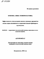 ЭФФЕКТИВНОСТЬ ИСПОЛЬЗОВАНИЯ ЖИДКИХ КОРМОВЫХ ДРОЖЖЕЙ НА ОСНОВЕ ГОРЦА САХАЛИНСКОГО В КОРМЛЕНИИ ЦЫПЛЯТ-БРОЙЛЕРОВ И КУР-НЕСУШЕК. - тема автореферата по сельскому хозяйству, скачайте бесплатно автореферат диссертации