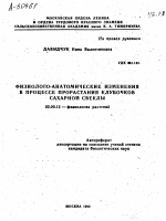 ФИЗИОЛОГО-АНАТОМИЧЕСКИЕ ИЗМЕНЕНИЯ В ПРОЦЕССЕ ПРОРАСТАНИЯ КЛУБОЧКОВ САХАРНОЙ СВЕКЛЫ - тема автореферата по биологии, скачайте бесплатно автореферат диссертации