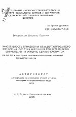 Эффективность применения стандартизированного зерносодержащего типа кормления при интенсивном выращивании и откорме бычков-кастратов - тема автореферата по сельскому хозяйству, скачайте бесплатно автореферат диссертации