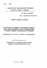 Биологические особенности и селекционная ценность новых дружносозревающих сортов и гибридов томата в условиях Апшерона Азербайджанской Республики - тема автореферата по сельскому хозяйству, скачайте бесплатно автореферат диссертации