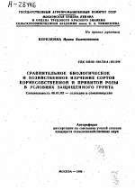 СРАВНИТЕЛЬНОЕ БИОЛОГИЧЕСКОЕ И ХОЗЯЙСТВЕННОЕ ИЗУЧЕНИЕ СОРТОВ КОРНЕСОБСТВЕННОЙ И ПРИВИТОЙ РОЗЫ В УСЛОВИЯХ ЗАЩИЩЕННОГО ГРУНТА - тема автореферата по сельскому хозяйству, скачайте бесплатно автореферат диссертации