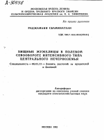 ХИЩНЫЕ ЖУЖЕЛИЦЫ В ПОЛЕВОМ СЕВООБОРОТЕ ИНТЕНСИВНОГО ТИПА ЦЕНТРАЛЬНОГО НЕЧЕРНОЗЕМЬЯ - тема автореферата по сельскому хозяйству, скачайте бесплатно автореферат диссертации