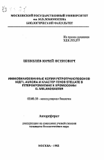 Иммобилизованные копиии ретротранспозонов МДГ1, Aurora и кластер генов Stellate в гетерохроматине Х хромосомы D. MELANOGASTER - тема автореферата по биологии, скачайте бесплатно автореферат диссертации