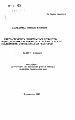 Ультраструктура пластомных мутантов подсолнечника и горчицы в норме и после воздействия экстремальных факторов - тема автореферата по биологии, скачайте бесплатно автореферат диссертации