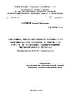 ЭЛЕМЕНТЫ ПРОМЫШЛЕННОЙ ТЕХНОЛОГИИ ВЫРАЩИВАНИЯ ТОМАТОВ В ОТКРЫТОМ ГРУНТЕ В УСЛОВИЯХ ЦЕНТРАЛЬНОГО ЧЕРНОЗЕМНОГО РЕГИОНА - тема автореферата по сельскому хозяйству, скачайте бесплатно автореферат диссертации