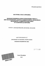 Морфофункциональные изменения тимуса при экспериментальном канцерогенезе, вызванном введением 1,2-диметилгидразина в различной дозировке - тема автореферата по биологии, скачайте бесплатно автореферат диссертации