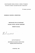 Морфогенез при регенерации тканей ствола березы повислой - тема автореферата по биологии, скачайте бесплатно автореферат диссертации