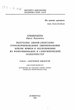 Получение линий спонтанно трансформированных эмбриональных клеток крысы и исследование их фенотипических и генотипических особенностей - тема автореферата по биологии, скачайте бесплатно автореферат диссертации