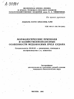 МОРФОЛОГИЧЕСКИЕ ПРИЗНАКИ И ХОЗЯЙСТВЕННО-ПОЛЕЗНЫЕ ОСОБЕННОСТИ МЕДОНОСНЫХ ПЧЕЛ СУДАНА - тема автореферата по сельскому хозяйству, скачайте бесплатно автореферат диссертации