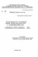 Эффективность скрещивания коров черно-пестрой породы с голштинскими быками - тема автореферата по сельскому хозяйству, скачайте бесплатно автореферат диссертации