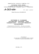 ИЗУЧЕНИЕ И СЕЛЕКЦИЯ БУРЗЯНСКИХ БОРТЕВЫХ ПЧЕЛ БАШКИРСКОГО ГОСУДАРСТВЕННОГО ЗАПОВЕДНИКА - тема автореферата по сельскому хозяйству, скачайте бесплатно автореферат диссертации