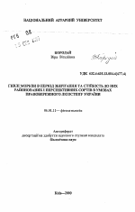 Гнили моркови в период хранения и устойчивость к ним районированных и перспективных сортов в условиях Правобережной Лесостепи Украины - тема автореферата по сельскому хозяйству, скачайте бесплатно автореферат диссертации