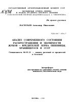 АНАЛИЗ СОВРЕМЕННОГО СОСТОЯНИЯ РАСПРОСТРАНЕНИЯ И ЗНАЧИМОСТИ ЖУКОВ — ВРЕДИТЕЛЕЙ ЗЕРНА ПШЕНИЦЫ, ХРАНЯЩЕГОСЯ В СССР - тема автореферата по сельскому хозяйству, скачайте бесплатно автореферат диссертации