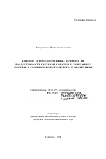 Влияние агромелиоративных приемов на продуктивность кукурузы в чистых и смешанных посевах в условиях Волгоградского Правобережья - тема автореферата по сельскому хозяйству, скачайте бесплатно автореферат диссертации