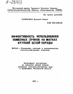 ЭФФЕКТИВНОСТЬ ИСПОЛЬЗОВАНИЯ ПОМЕСНЫХ ХРЯКОВ НА МАТКАХ КРУПНОЙ БЕЛОЙ ПОРОДЫ - тема автореферата по сельскому хозяйству, скачайте бесплатно автореферат диссертации