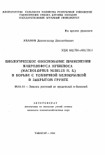 Биологическое обоснование применения макролофуса нубилюса (Macrolophus Nubilus H.S.) в борьбе с тепличной белокрылкой в закрытом грунте - тема автореферата по сельскому хозяйству, скачайте бесплатно автореферат диссертации