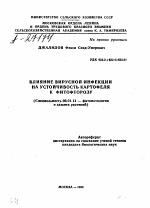 ВЛИЯНИЕ ВИРУСНОЙ ИНФЕКЦИИ НА УСТОЙЧИВОСТЬ КАРТОФЕЛЯ К ФИТОФТОРОЗУ - тема автореферата по сельскому хозяйству, скачайте бесплатно автореферат диссертации