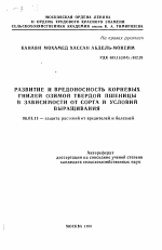 Развитие и вредоносность корневых гнилей озимой твердой пшеницы в зависимости от сорта и условий выращивания - тема автореферата по сельскому хозяйству, скачайте бесплатно автореферат диссертации