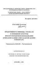 Продуктивность пшеницы, тритикале и пожнивной кукурузы при круглогодичном использовании орошаемой пашни в Шерабадской долине Узбекистана - тема автореферата по сельскому хозяйству, скачайте бесплатно автореферат диссертации