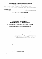 ВВЕДЕНИЕ В КУЛЬТУРУ ПОДОРОЖНИКА БОЛЬШОГО В УСЛОВИЯХ ЛЕСОСТЕПИ УКРАИНЫ - тема автореферата по сельскому хозяйству, скачайте бесплатно автореферат диссертации