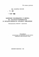 Влияние молибдена и цинка на засухоустойчивость и продуктивность яровой пшеницы - тема автореферата по сельскому хозяйству, скачайте бесплатно автореферат диссертации