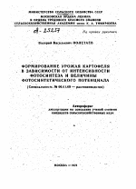 ФОРМИРОВАНИЕ УРОЖАЯ КАРТОФЕЛЯ В ЗАВИСИМОСТИ ОТ ИНТЕНСИВНОСТИ ФОТОСИНТЕЗА И ВЕЛИЧИНЫ ФОТОСИНТЕТИЧЕСКОГО ПОТЕНЦИАЛА - тема автореферата по сельскому хозяйству, скачайте бесплатно автореферат диссертации