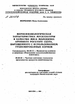 МОРФОФИЗИОЛОГИЧЕСКАЯ ХАРАКТЕРИСТИКА МУСКУЛАТУРЫ И КАЧЕСТВО МЯСА МОЛОДНЯКА КРУПНОГО РОГАТОГО СКОТА, ВЫРАЩЕННОГО С ИСПОЛЬЗОВАНИЕМ ГРАНУЛИРОВАННЫХ КОРМОВ - тема автореферата по биологии, скачайте бесплатно автореферат диссертации