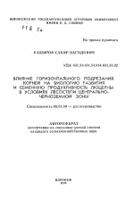 Влияние горизонтального подрезания корней на биологию развития и семенную продуктивность люцерны в условиях лесостепи Центрально-Черноземной зоны - тема автореферата по сельскому хозяйству, скачайте бесплатно автореферат диссертации