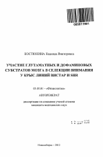 Участие глутаматных и дофаминовых субстратов мозга в селекции внимания у крыс линий Вистар и SHR - тема автореферата по биологии, скачайте бесплатно автореферат диссертации