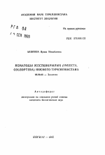 Нематоды жесткокрылых (Insecta, Coleoptera) Южного Туркменистана - тема автореферата по биологии, скачайте бесплатно автореферат диссертации