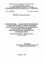 КОМПЛЕКСНЫЕ (ФОМОЗНО-ФУЗАРИОЗНЫЕ И БАКТЕРИАЛЬНЫЕ) ГНИЛИ КЛУБНЕЙ КАРТОФЕЛЯ (ОСОБЕННОСТИ ПАТОГЕНЕЗА И СПОСОБЫ ПОДАВЛЕНИЯ ПАРАЗИТИЧЕСКОЙ АКТИВНОСТИ ВОЗБУДИТЕЛЕЙ) - тема автореферата по сельскому хозяйству, скачайте бесплатно автореферат диссертации