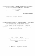 Мясная продуктивность холмогорских и холмогор х голштинских бычков при различной интенсивности доращивания и откорма - тема автореферата по сельскому хозяйству, скачайте бесплатно автореферат диссертации