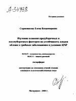 ИЗУЧЕНИЕ ВЛИЯНИЯ ПРЕДУБОРОЧНЫХ И ПОСЛЕУБОРОЧНЫХ ФАКТОРОВ НА УСТОЙЧИВОСТЬ ПЛОДОВ ЯБЛОНИ К ГРИБНЫМ ЗАБОЛЕВАНИЯМ В УСЛОВИЯХ ЦЧР - тема автореферата по сельскому хозяйству, скачайте бесплатно автореферат диссертации