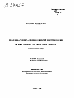 ПРОЛИФЕРАТИВНЫЙ АНТИГЕН ИНИЦИАЛЕЙ В ИССЛЕДОВАНИИ МОРФОГЕНЕТИЧЕСКИХ ПРОЦЕССОВ В КУЛЬТУРЕ IN VITRO ПШЕНИЦЫ - тема автореферата по биологии, скачайте бесплатно автореферат диссертации